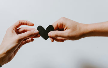 5 Signs You’re in a "Nanoship" (And Why That’s Totally Fine)