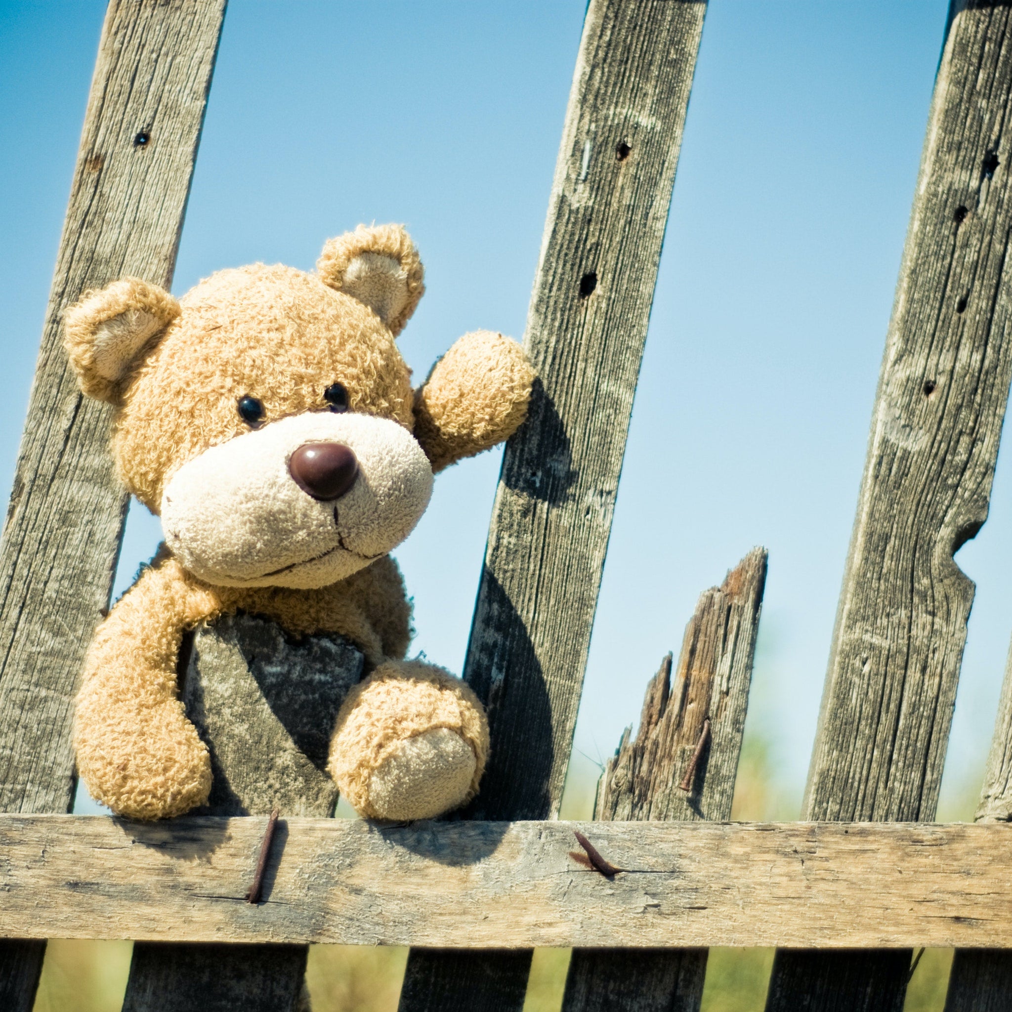 Brown teddy bear on brown wooden fence