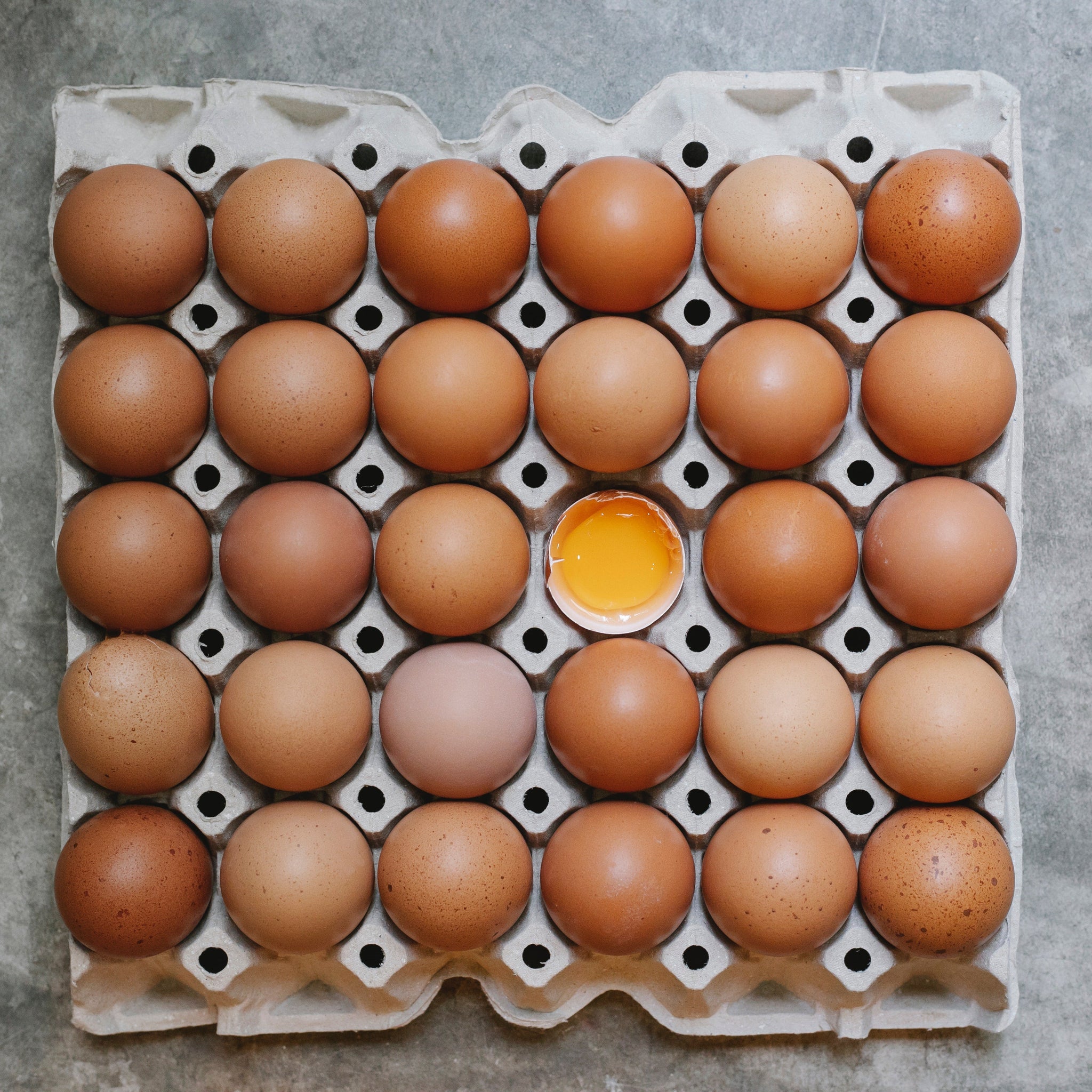 Eggs in rows in carton container