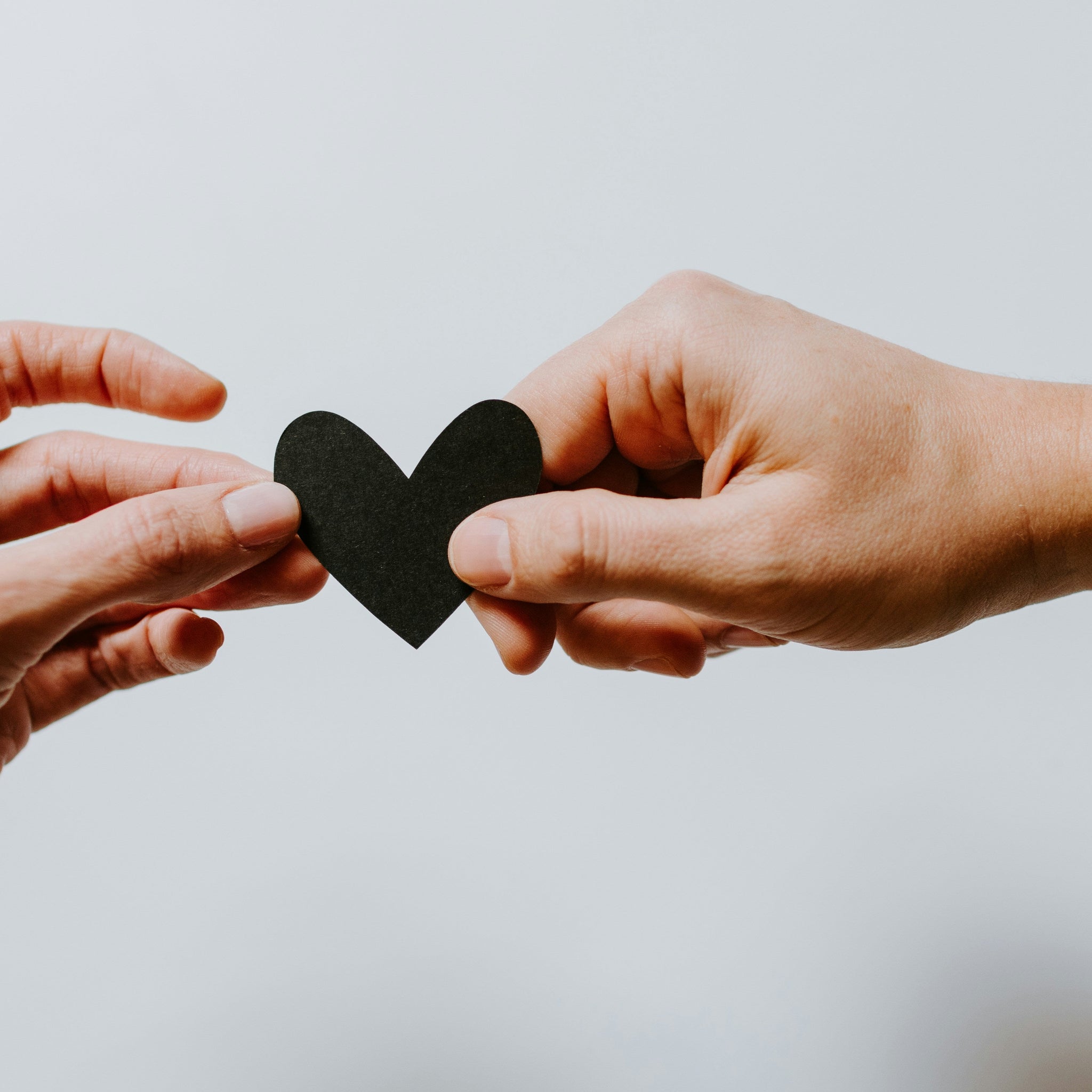 5 Signs You’re in a "Nanoship" (And Why That’s Totally Fine)